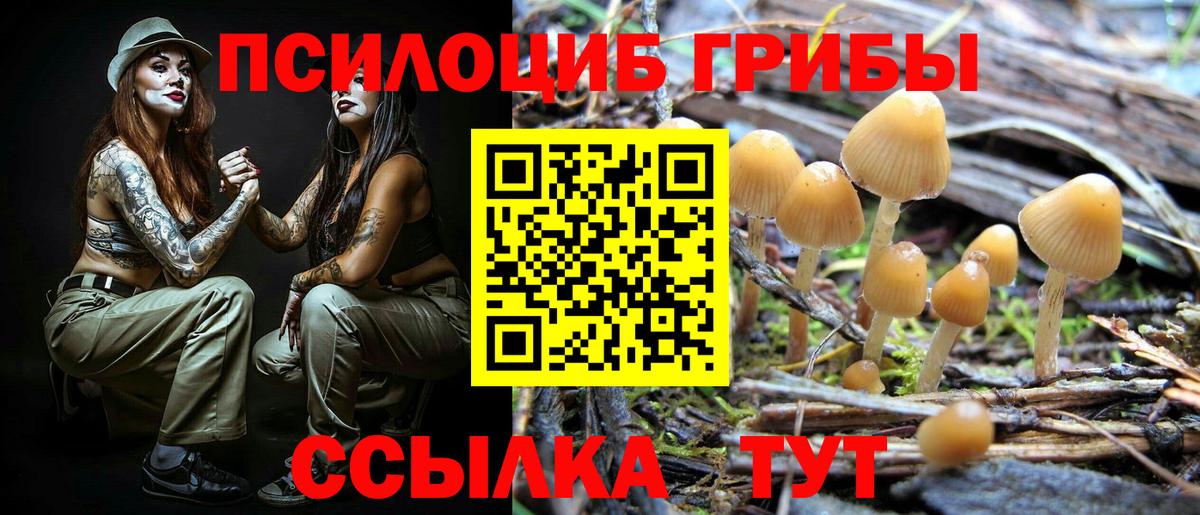 Галлюциногенные грибы мухоморы  Вход с VPN  Великий Устюг 